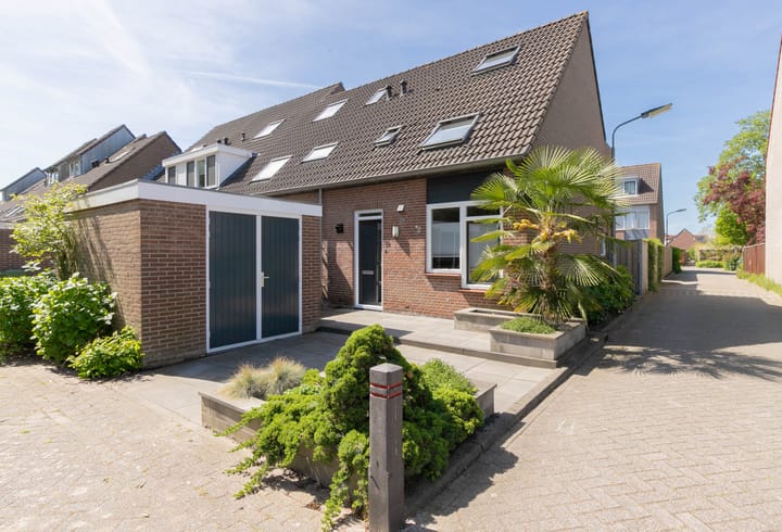 Bekijk foto van Pijlkruid 35