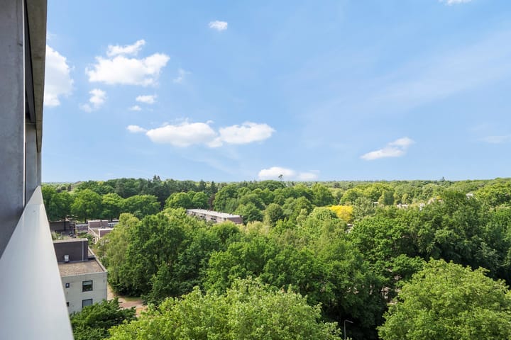 Foto 17 van Professor de Moorplein 529