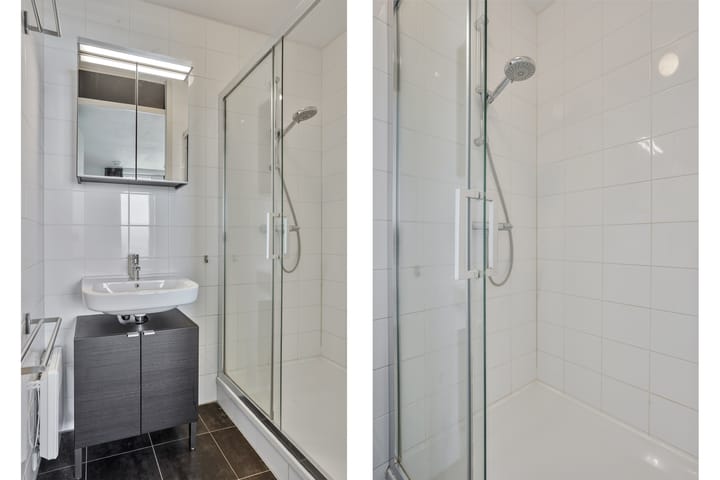 Foto 23 van Professor de Moorplein 529