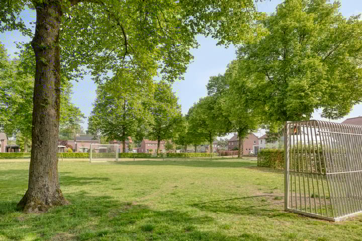 Foto 3 van Brummenböske 21