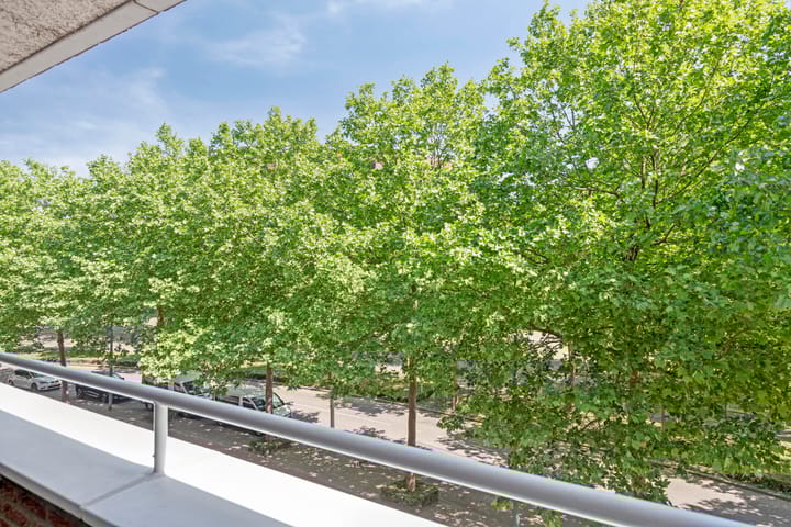 Foto 25 van Hoge Barakken 15-C