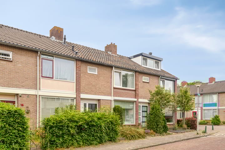 Foto 6 van Loofhout 12