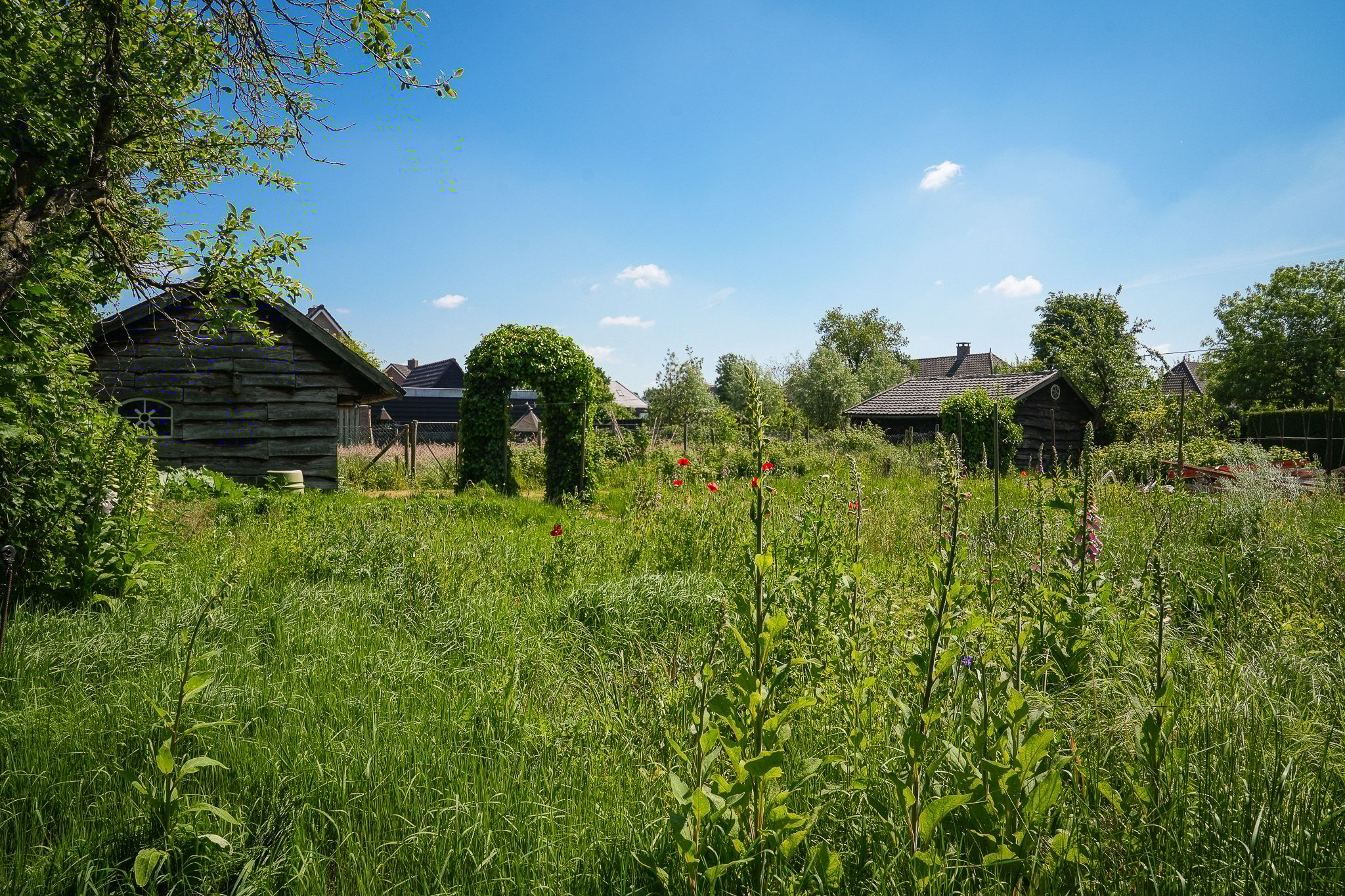 Photo 3 of Past. van Haarenstraat 7