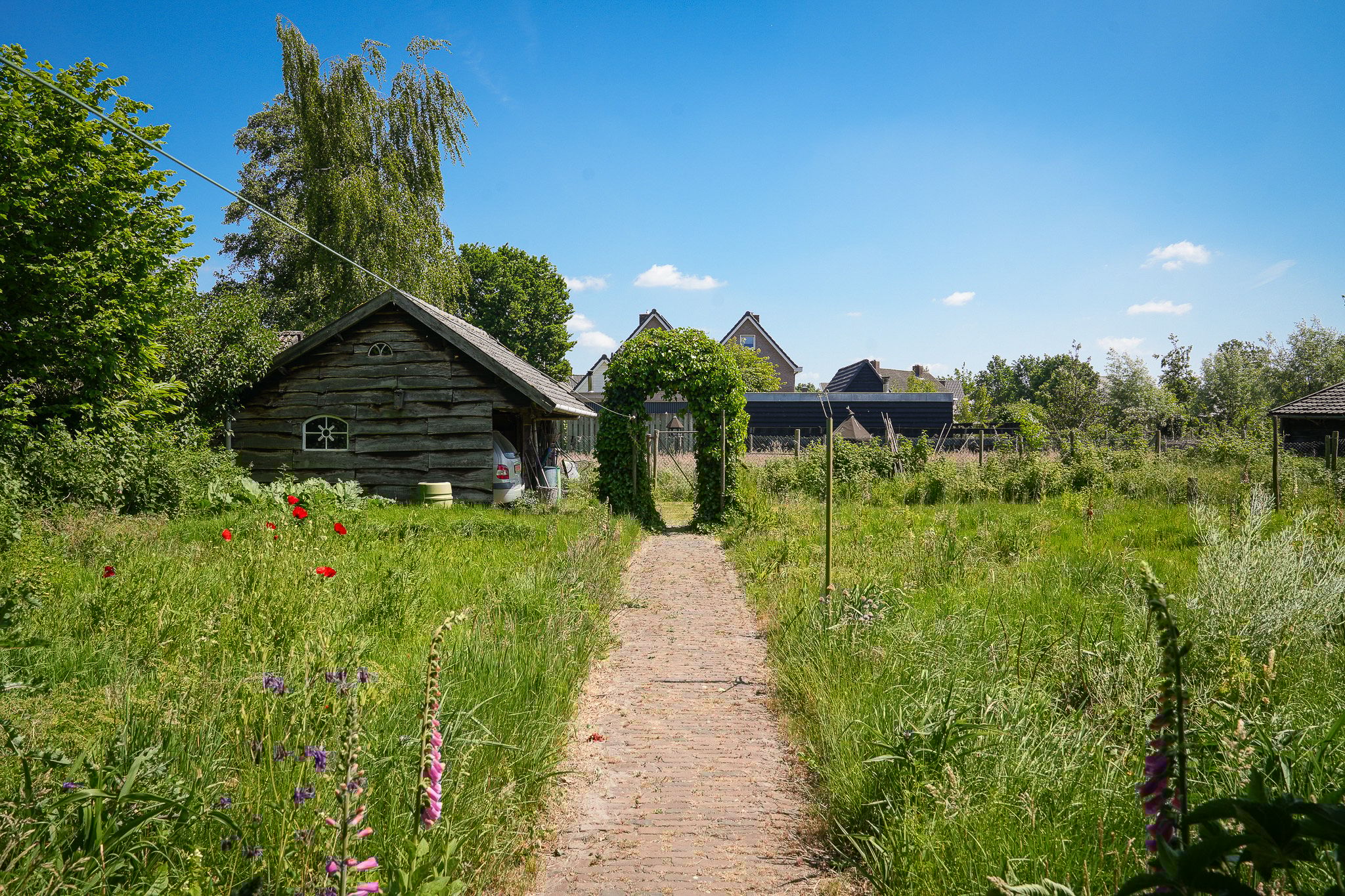 Photo 42 of Past. van Haarenstraat 7