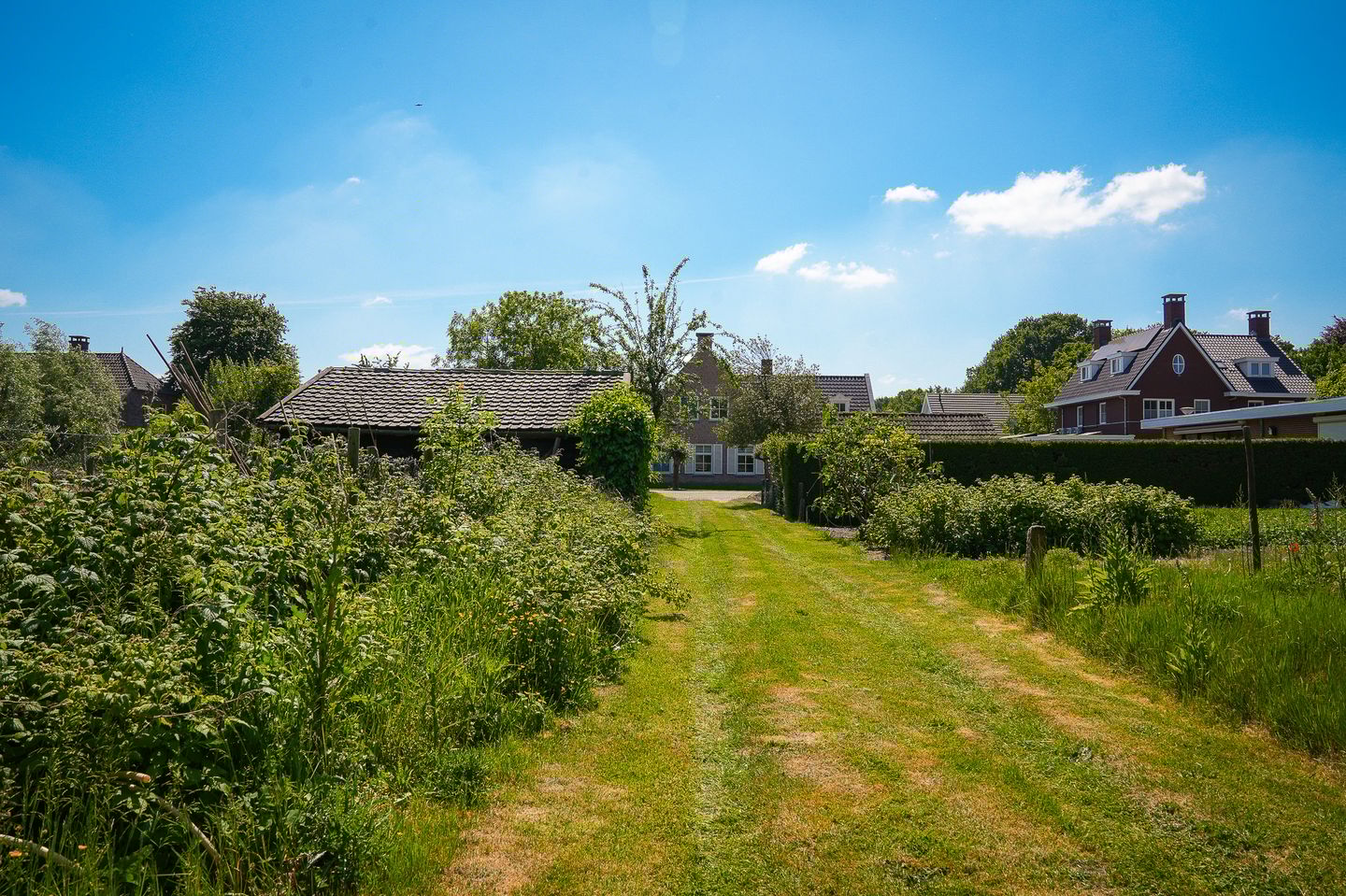 Photo 44 of Past. van Haarenstraat 7