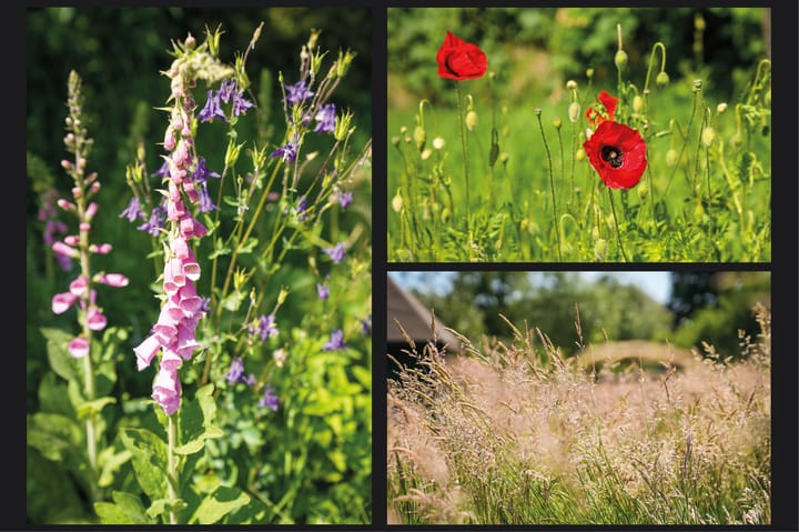 Foto 48 van Past. van Haarenstraat 7