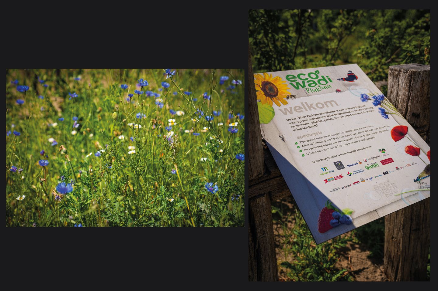 Photo 55 of Past. van Haarenstraat 7