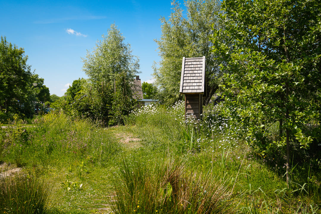 Photo 56 of Past. van Haarenstraat 7
