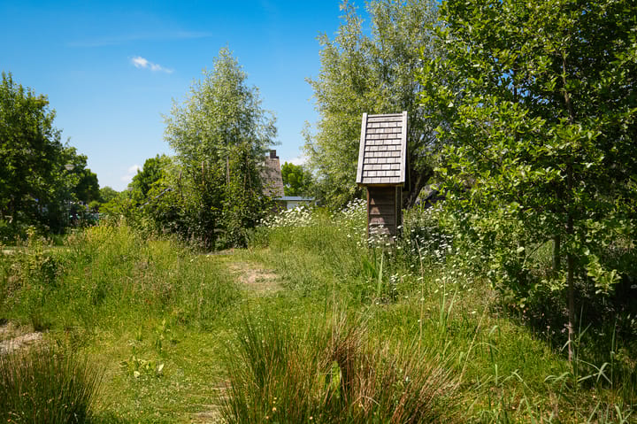 Foto 56 van Past. van Haarenstraat 7