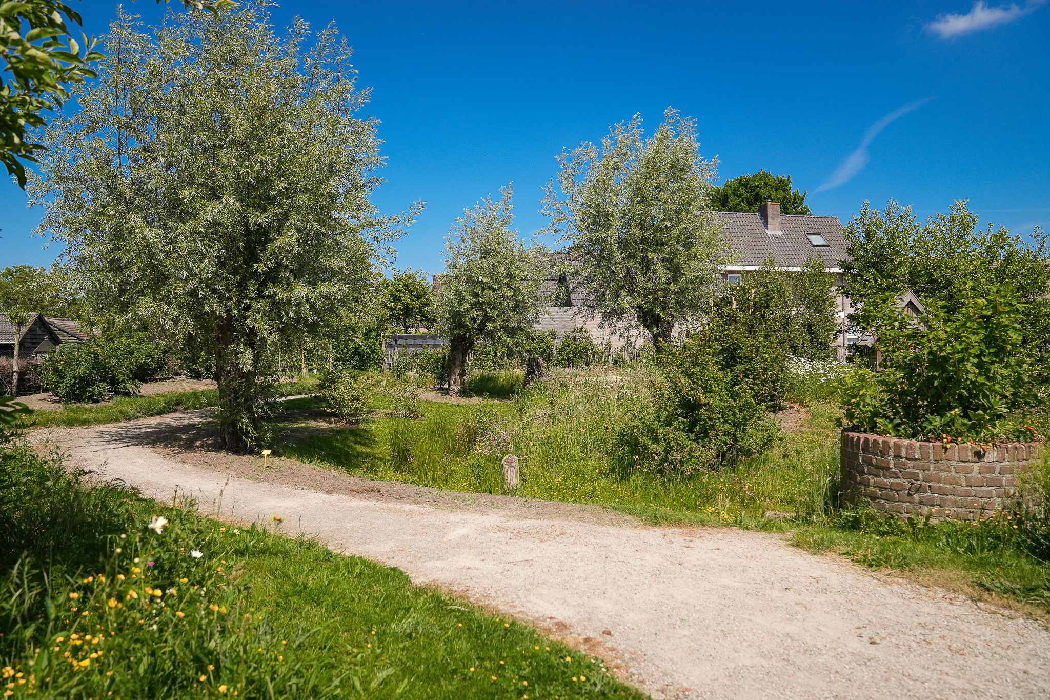 Photo 57 of Past. van Haarenstraat 7