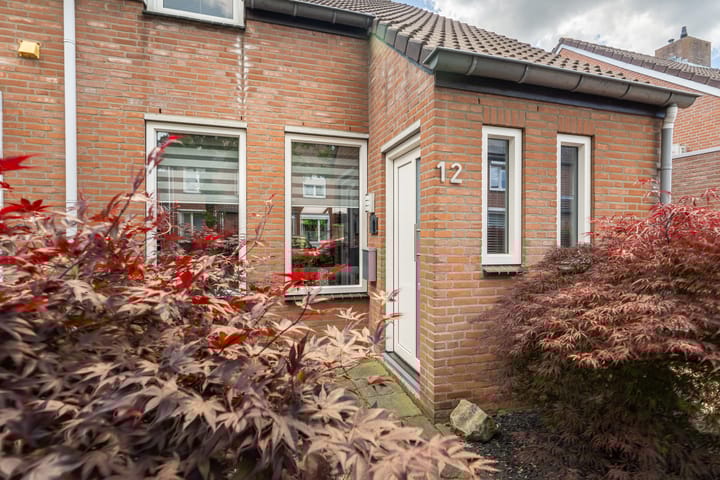 Foto 4 van Oranjehof 12