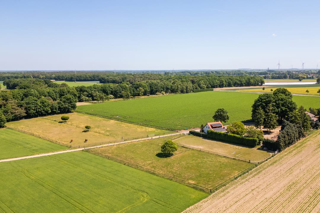 Foto 2 van Springweg 25