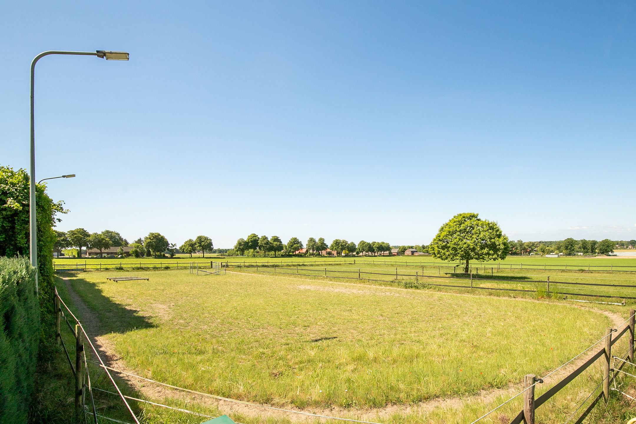 Foto 3 van Springweg 25