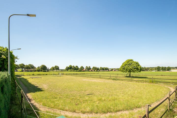 Foto 3 van Springweg 25