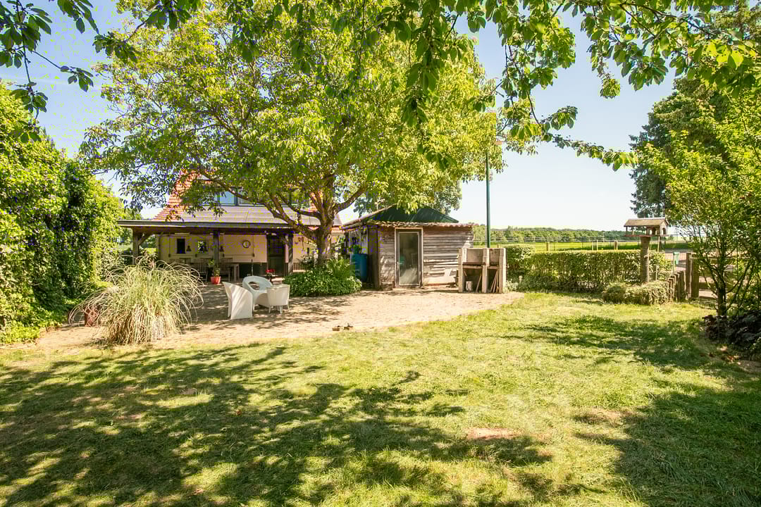 Foto 23 van Springweg 25