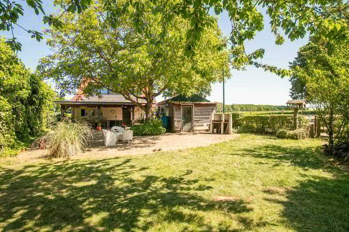 Foto 23 van Springweg 25