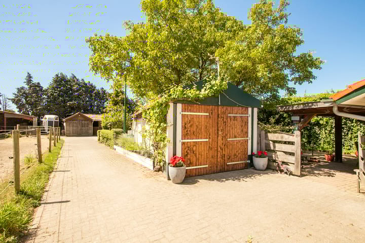 Foto 24 van Springweg 25