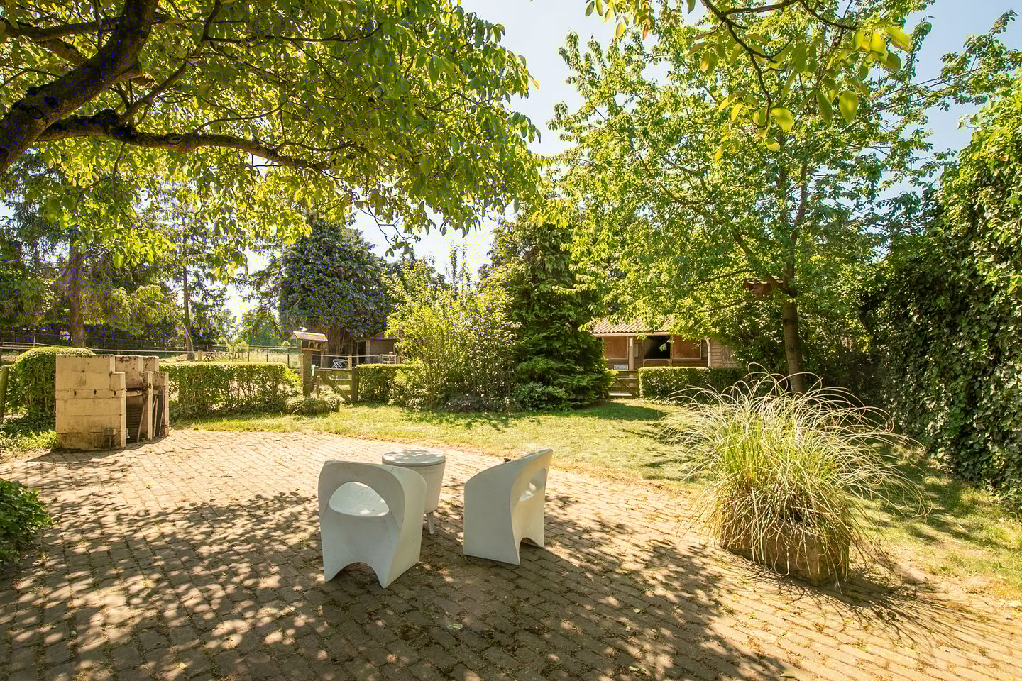 Foto 25 van Springweg 25