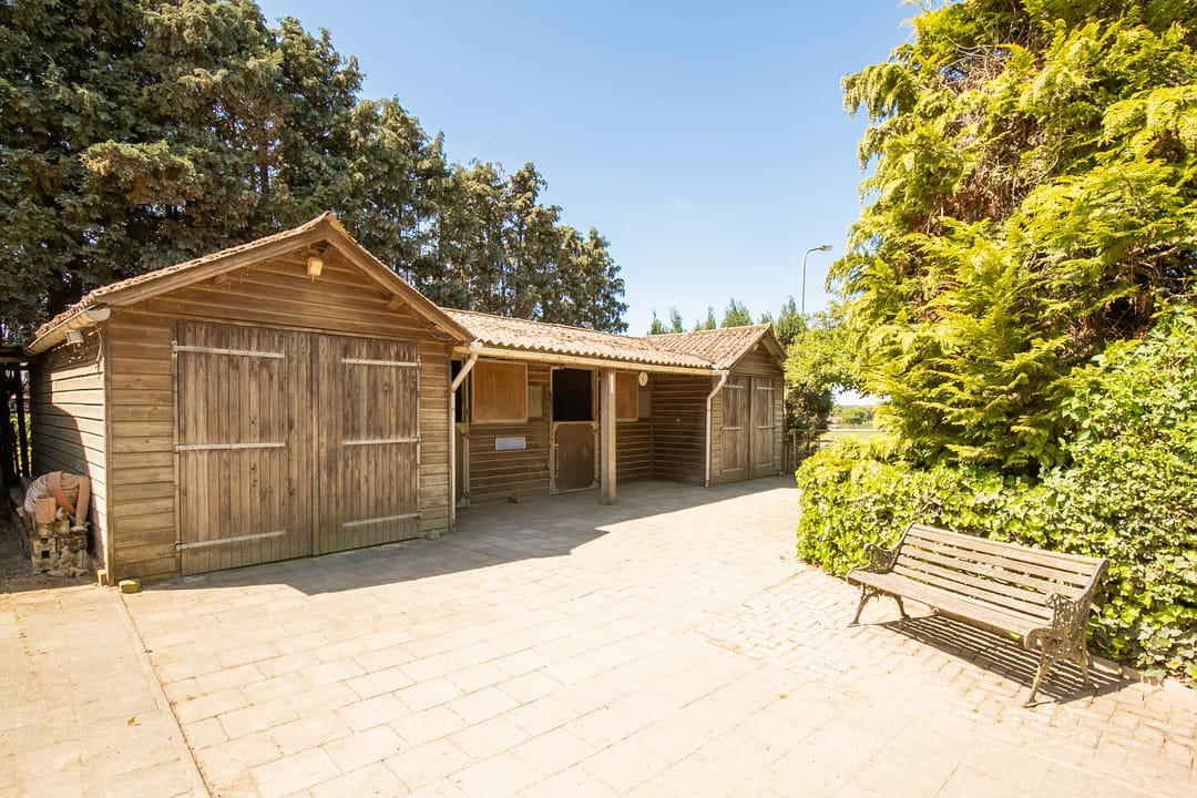 Foto 26 van Springweg 25