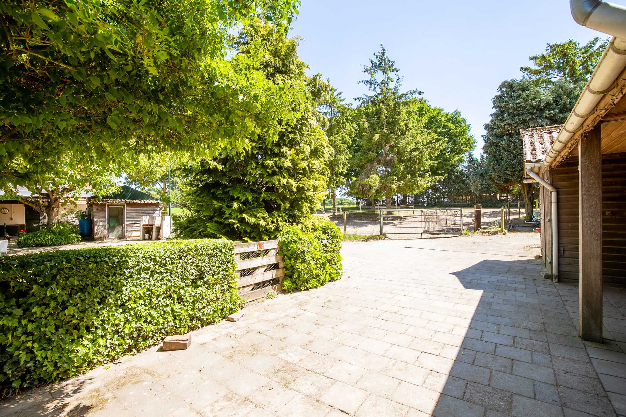 Foto 27 van Springweg 25