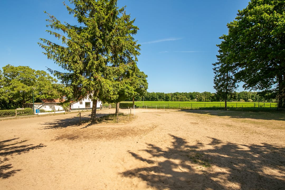 Foto 28 van Springweg 25