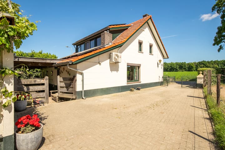 Foto 29 van Springweg 25