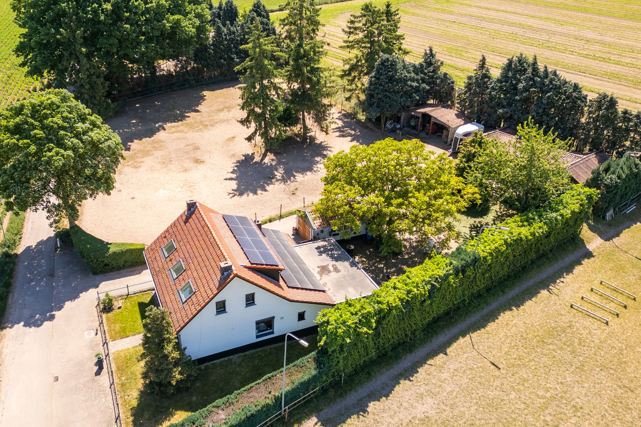 Foto 30 van Springweg 25