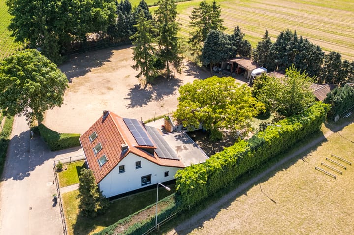 Foto 30 van Springweg 25