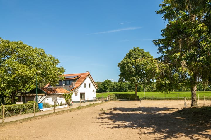 Foto 31 van Springweg 25