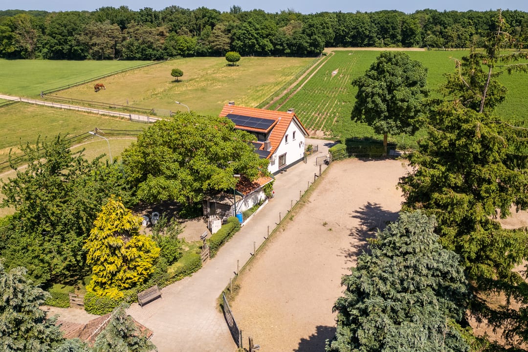 Foto 32 van Springweg 25