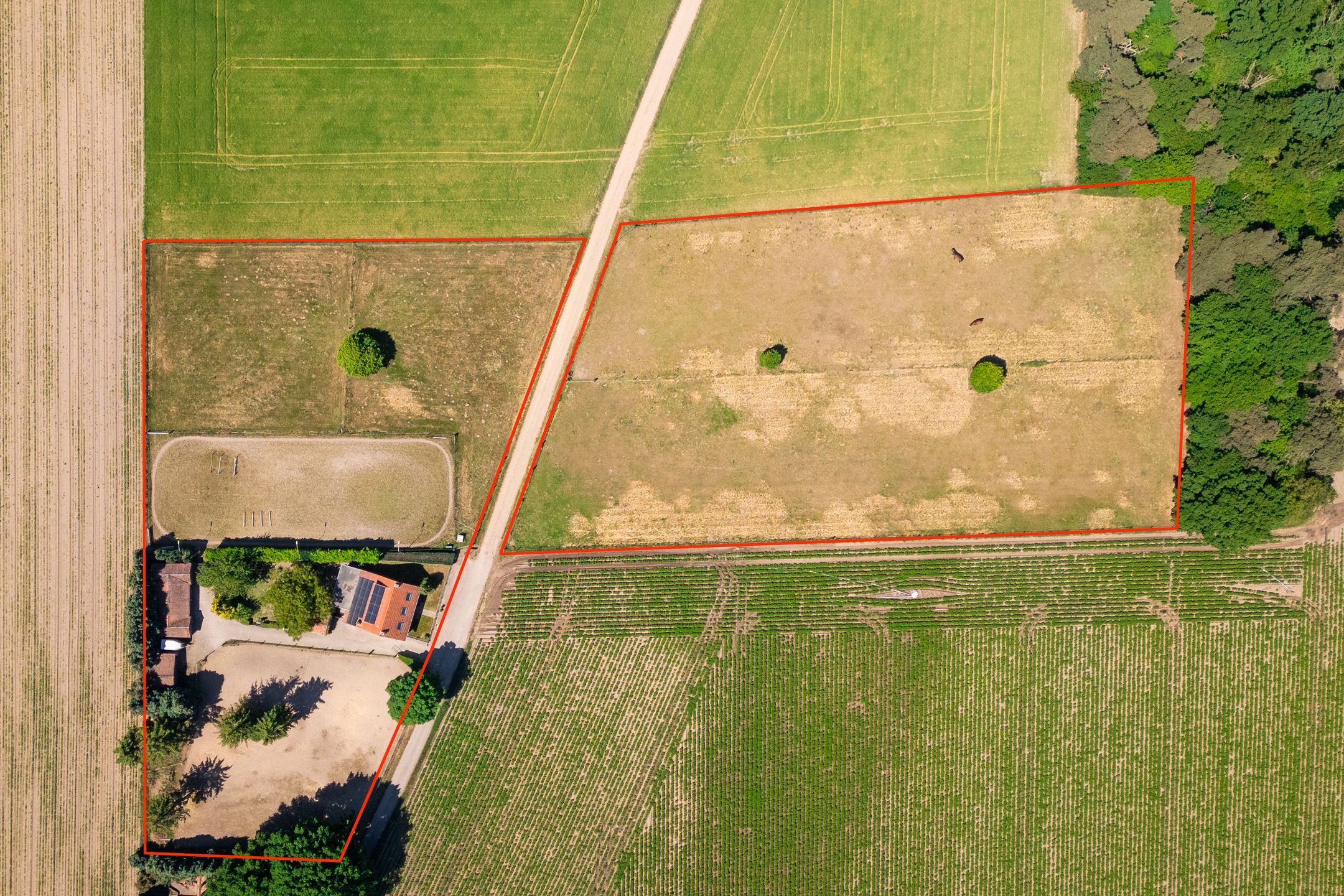 Foto 33 van Springweg 25