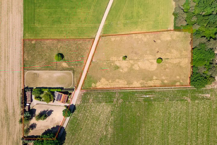 Foto 33 van Springweg 25