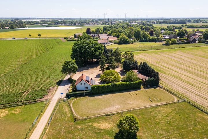 Foto 34 van Springweg 25