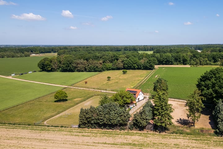 Foto 35 van Springweg 25