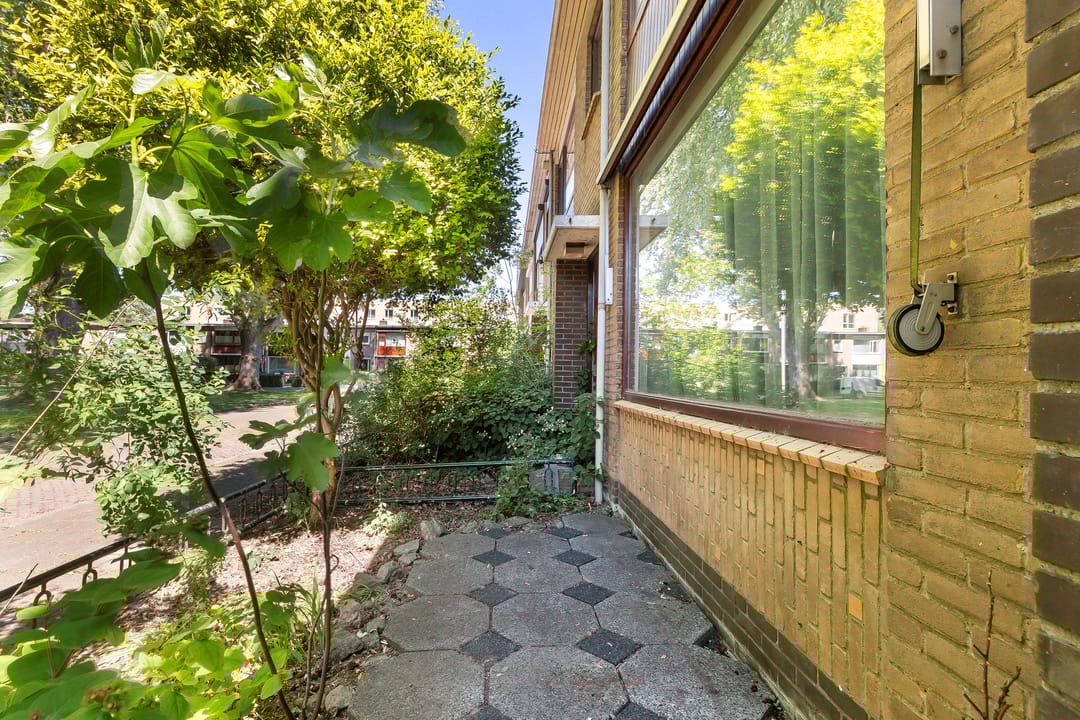 Photo 2 of Van Limburg Stirumplantsoen 14