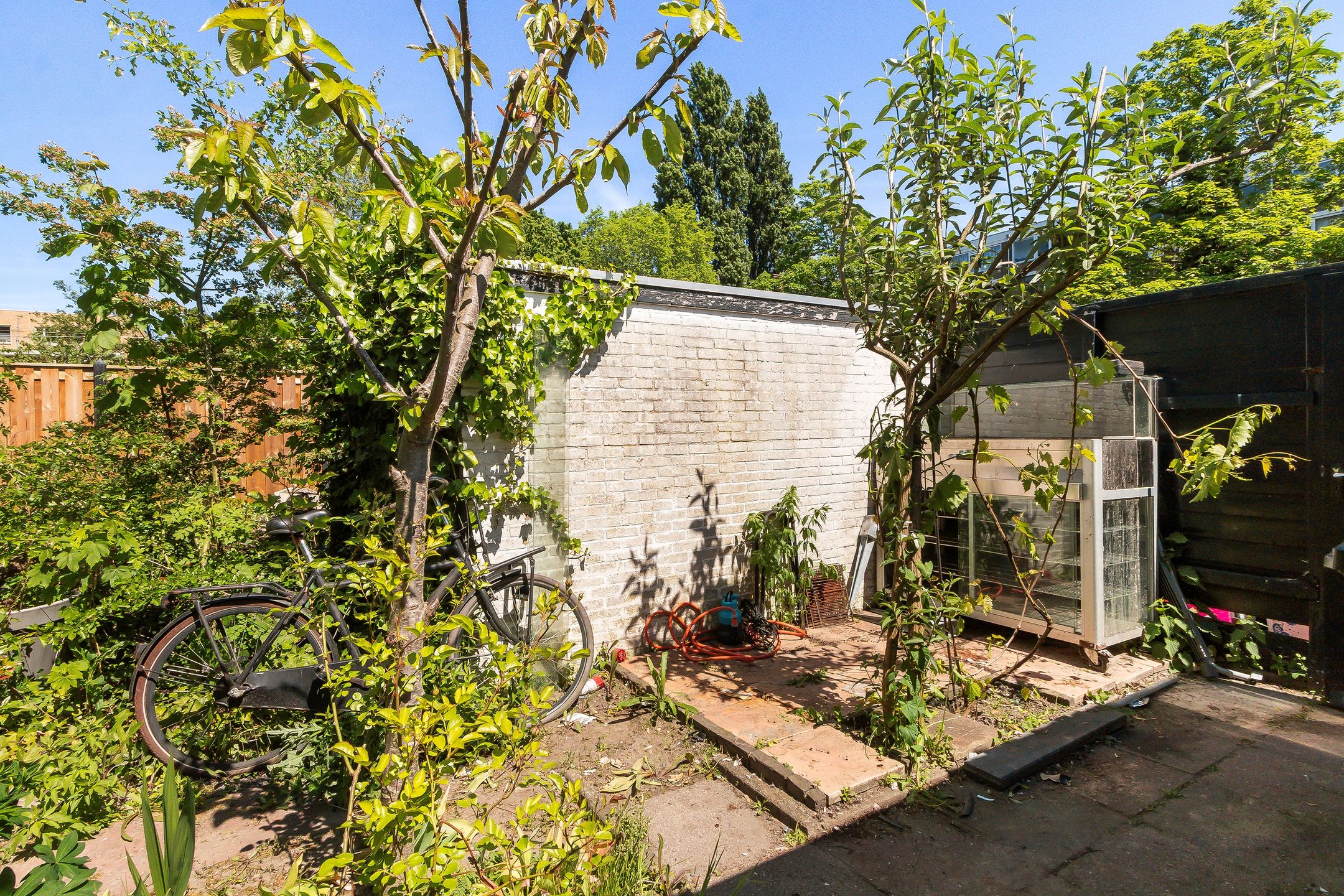 Photo 15 of Van Limburg Stirumplantsoen 14