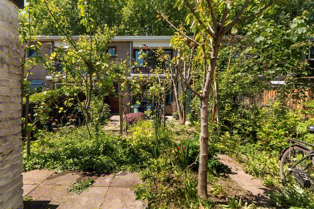 Photo 17 of Van Limburg Stirumplantsoen 14