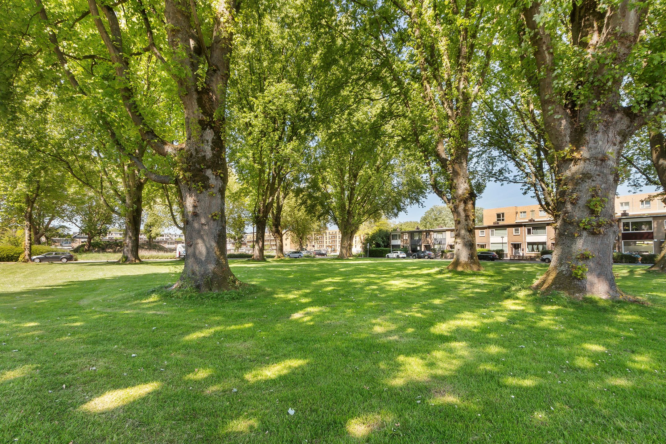 Photo 18 of Van Limburg Stirumplantsoen 14