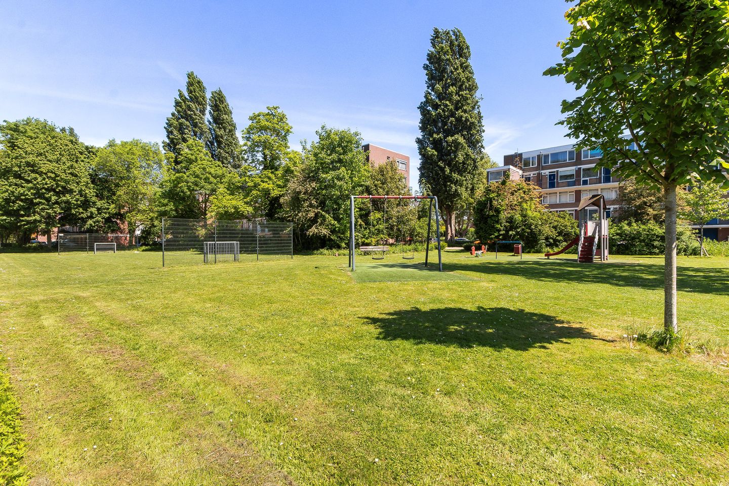 Photo 19 of Van Limburg Stirumplantsoen 14