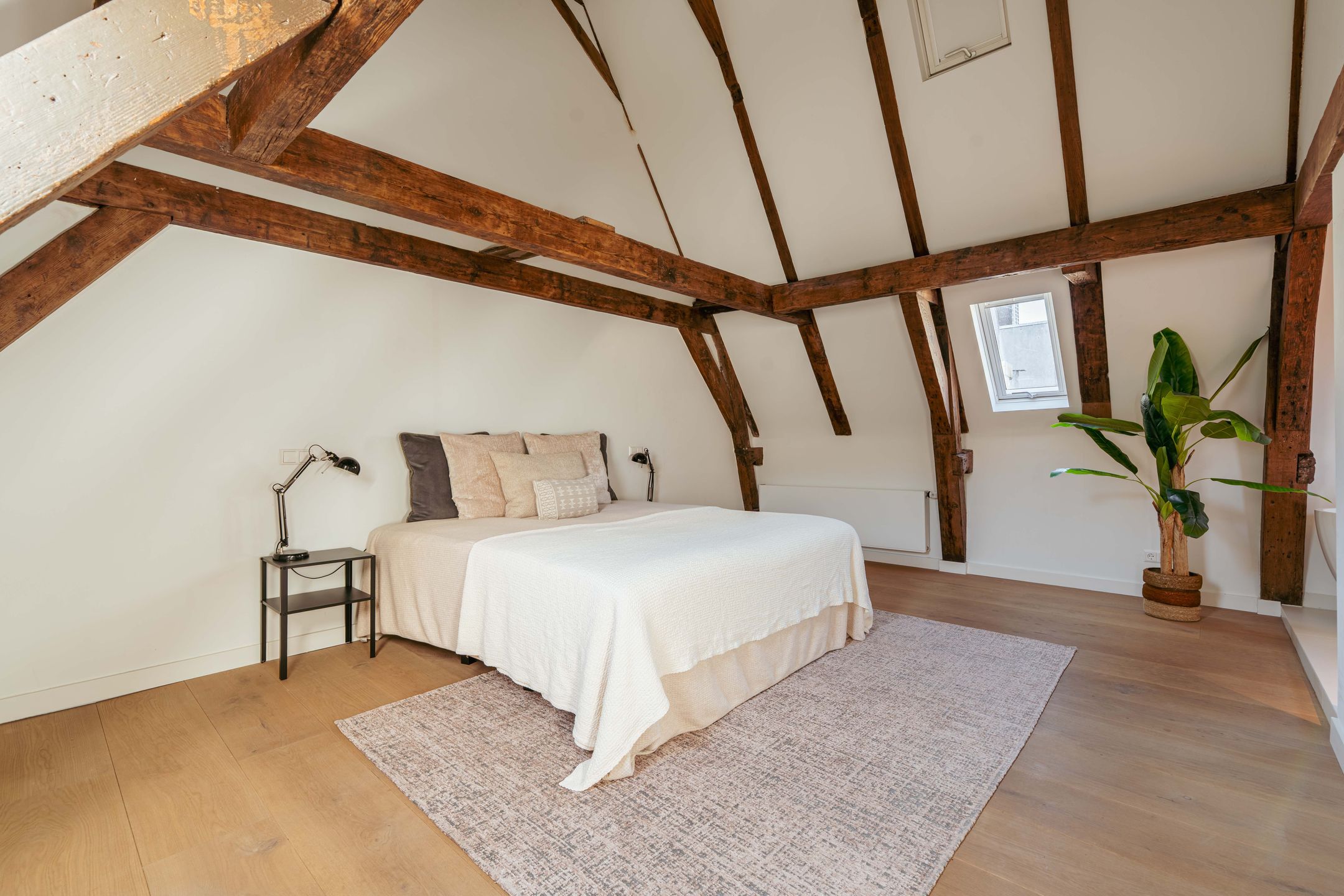 Foto 15 van Lauriergracht 123-4