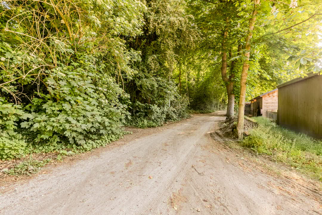 Foto 43 van Oudelaarstraat 2