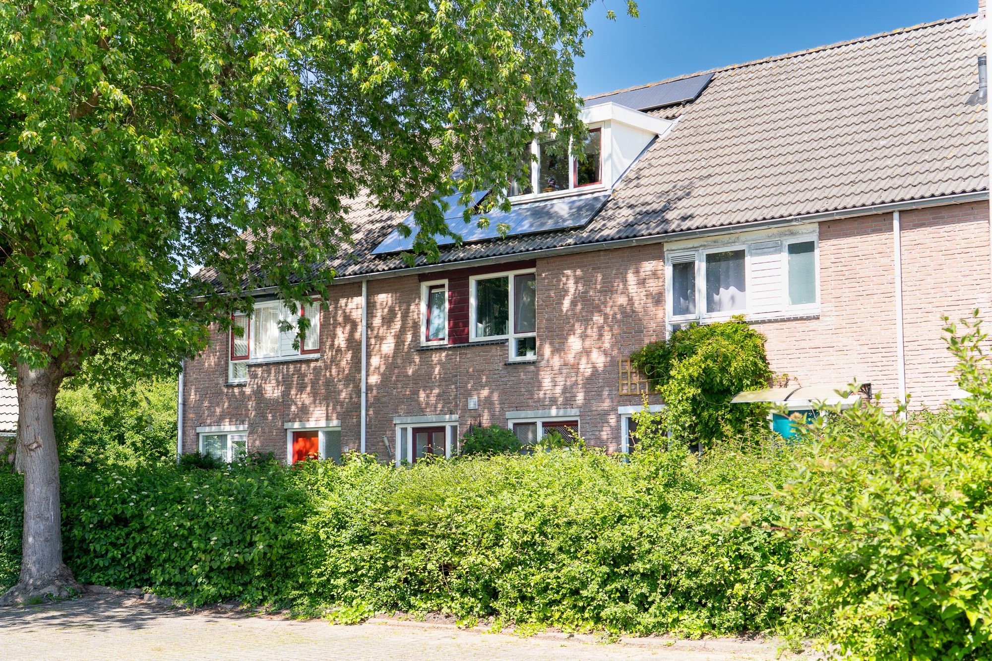 Foto 42 van Pauwoog 11