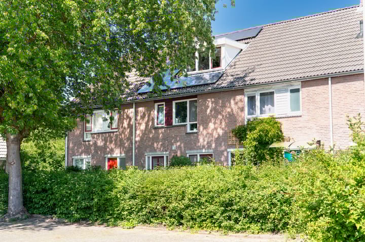 Photo 42 of Pauwoog 11