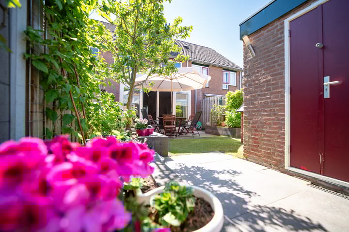 Photo 44 of Pauwoog 11