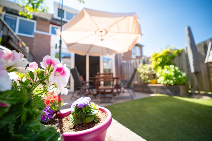 Photo 46 of Pauwoog 11