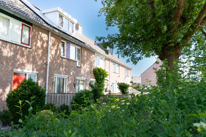 Photo 51 of Pauwoog 11