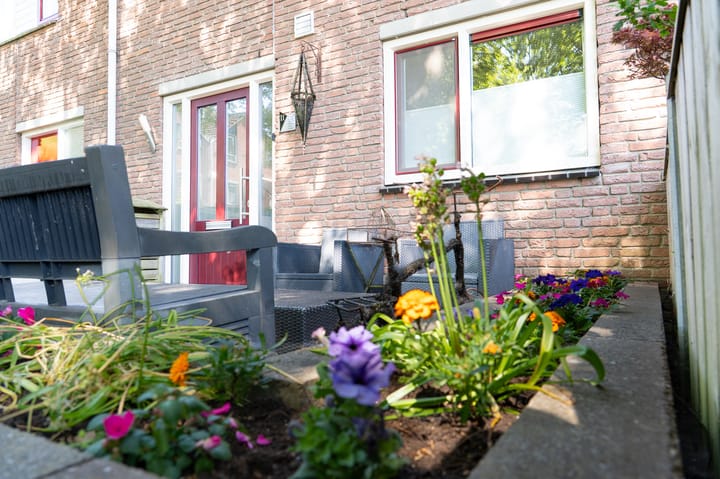 Photo 52 of Pauwoog 11