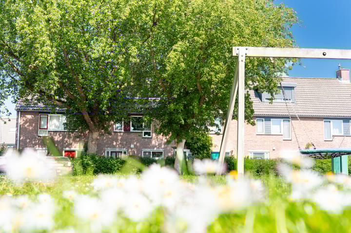 Photo 56 of Pauwoog 11