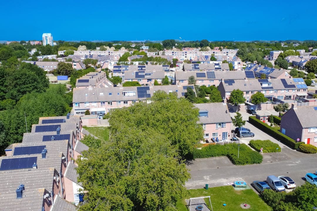 Foto 61 van Pauwoog 11