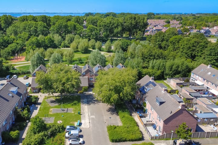 Photo 63 of Pauwoog 11